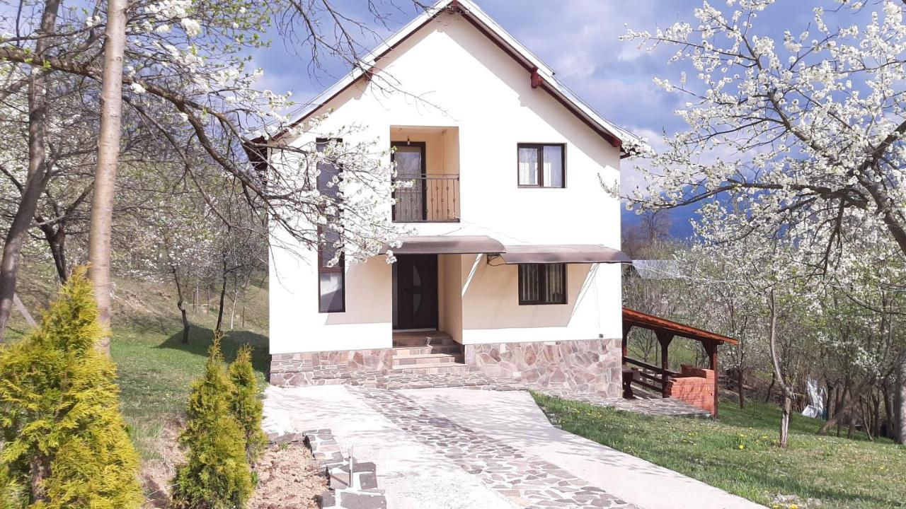 Casa Flutar Villa Majszin Kültér fotó