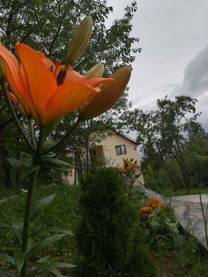Casa Flutar Villa Majszin Kültér fotó